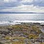 Shellharbour 1