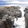 Shellharbour 1