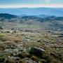 Snowy Mountains - Semi-Dry Steppes