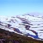 Snowy Mountains - Semi-Dry Steppes