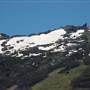 Snowy Mountains - Semi-Dry Steppes