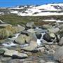Thredbo