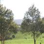 Tullimbar Village