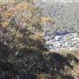Thredbo