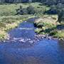 Thredbo