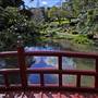 Wollongong Botanic Garden