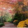 Lindfield Park