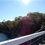 Parsley Bay Footbridge