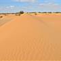 Perry Sandhills