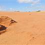 Perry Sandhills