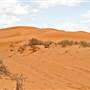 Perry Sandhills