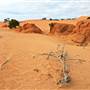 Perry Sandhills