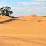 Perry Sandhills