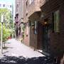 Apartment Buildings in Potts Point