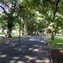 The Domain