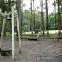 Timbertown