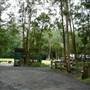 Timbertown