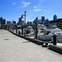 Woolloomooloo - Finger Wharf