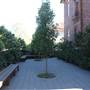 Montessori East