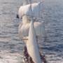 Young Endeavour