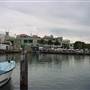 Sydney Fish Market
