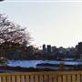 Sydney Observatory / Observatory Hill