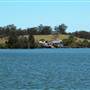 Taree