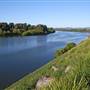 Taree