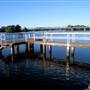Taree