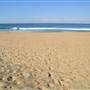 Whale Beach