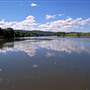 Wingham