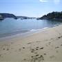 Snapperman Beach, Palm Beach
