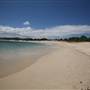 Yarra Bay Beach, Yarra Point & Bicentennial Park