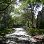 St Paul's College - Sydney University