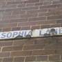 Surry Hills - Sophia Lane