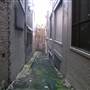 Surry Hills - Sophia Lane