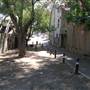 Surry Hills - Sophia Lane