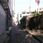 Surry Hills - Sophia Lane