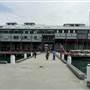 Walsh Bay - Piers/Wharves Pier 2/3