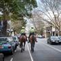 SURRY HILLS - PERIOD