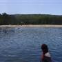 Wattamolla Beach