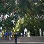 Hyde Park and Archibald Fountain - Sydney CBD