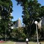 Hyde Park and Archibald Fountain - Sydney CBD