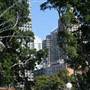 Hyde Park and Archibald Fountain - Sydney CBD