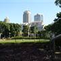 Hyde Park and Archibald Fountain - Sydney CBD