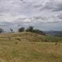 Road from Coolah Tops to Coolah
