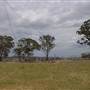 Road from Coolah Tops to Coolah