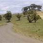 Road from Coolah Tops to Coolah