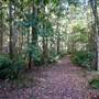 Red Cedar Flat picnic area