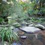 Red Cedar Flat picnic area